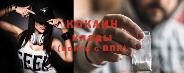 прущий лед Ельня