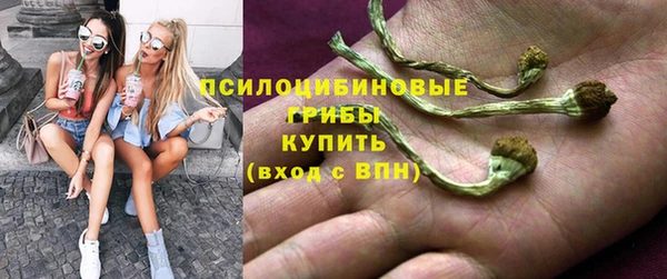 прущий лед Ельня