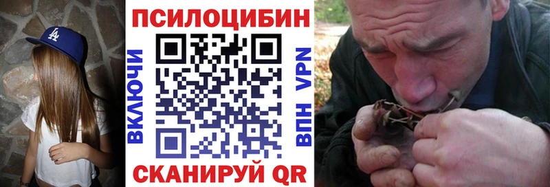 Купить  Рудня  Псилоцибиновые грибы Magic Shrooms 