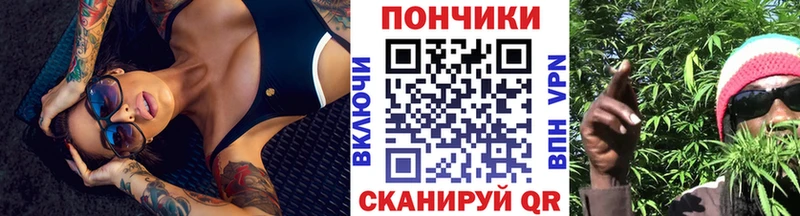Купить закладки  Рудня  Бошки Шишки SATIVA & INDICA 
